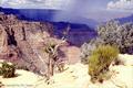 Naturwunder Grand Canyon
